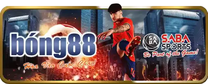 Cá cược Thể Thao và Đá Gà TN88